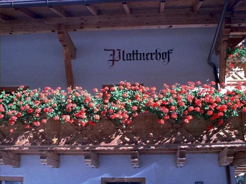 Plattnerhof Kaunertal Quarto foto